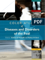 Color Atlas of Diseases and Disorders of The Foal - MC Auliffe - Slovis - 2008