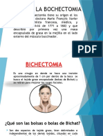 Origen de La Bochectomia