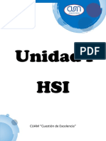 HSI historia seguridad industrial