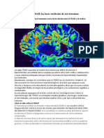 Neurobiología Del TDAH