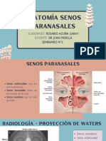 Dpi Semana 3