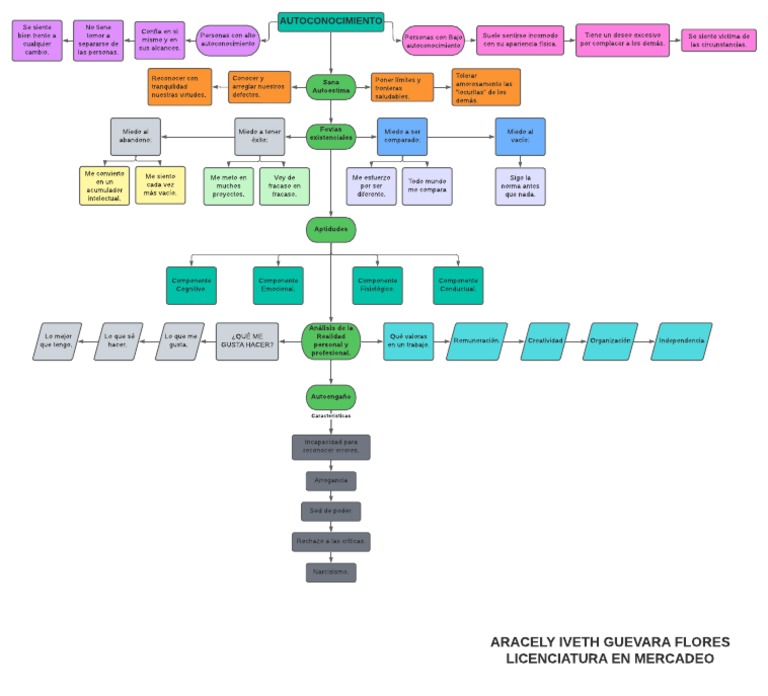 Autoconocimiento Mapa Conceptual Pdf Narcisismo Cognición