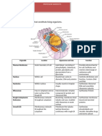 Clinical Hematology Cell Organelles and Functions