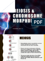 CM1-CU5 - Meiosis and Chromosome Morphology