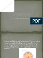 OVOGÉNESIS