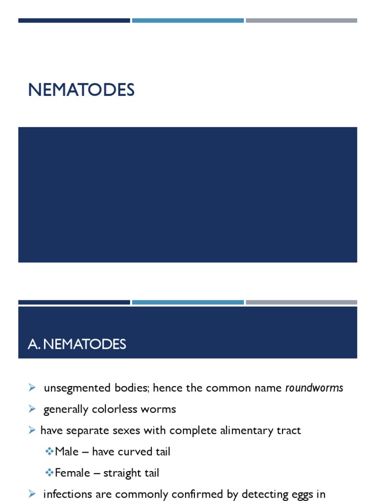 Nematodes PDF Medical Specialties Parasitology