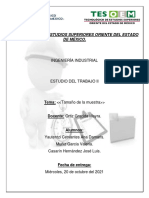 Estii-T2p1 Tamaño de Muestra