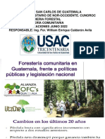 Forestería en Guatemala