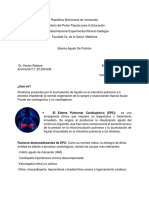 Damarys Arismendi, EDEMA AGUDO DE PULMON PDF