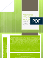 PPP Ambiental y Finaciero 2021-Presentacion F-Rectora