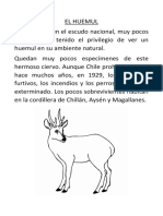 EL HUEMUL 1basico