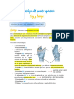 Fisiopatología Del Aparato Respiratorio PDF