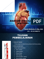 Pengantar Sistem Kardiovaskuler