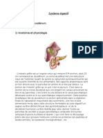 Anatomie Et Physiologie Duodenum