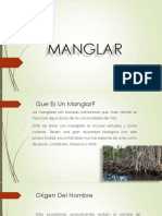 Manglar2 140414214903 Phpapp01