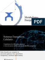 Diapositivas N° 6-Metabolismo Energético 2