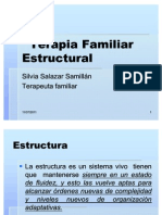 Los Términos de La Terapia Estructural