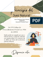 Principio Del Juez Natural y Doble Instancia