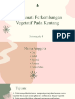 Mengamati Perkembangan Vegetatif Pada Kentang: Kelompok 4