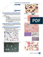 Lesson5.3 LabDiaofTB