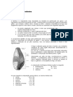 Tec Panificação - BI's B