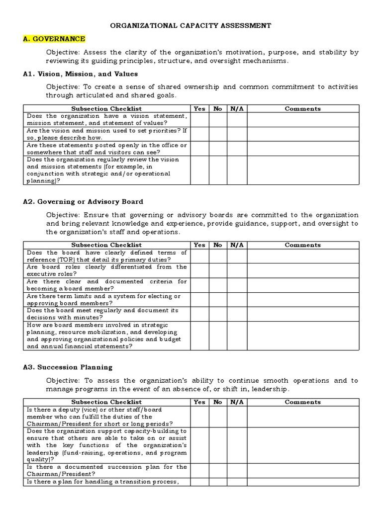 Organizational Capacity Assessment Tool Pdf Internal Control Business