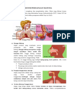 SISTEM PERNAPASAN MANUSIA