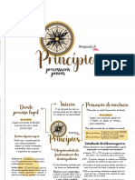Princípios PDF