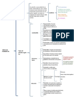 Tipos de Parrafos