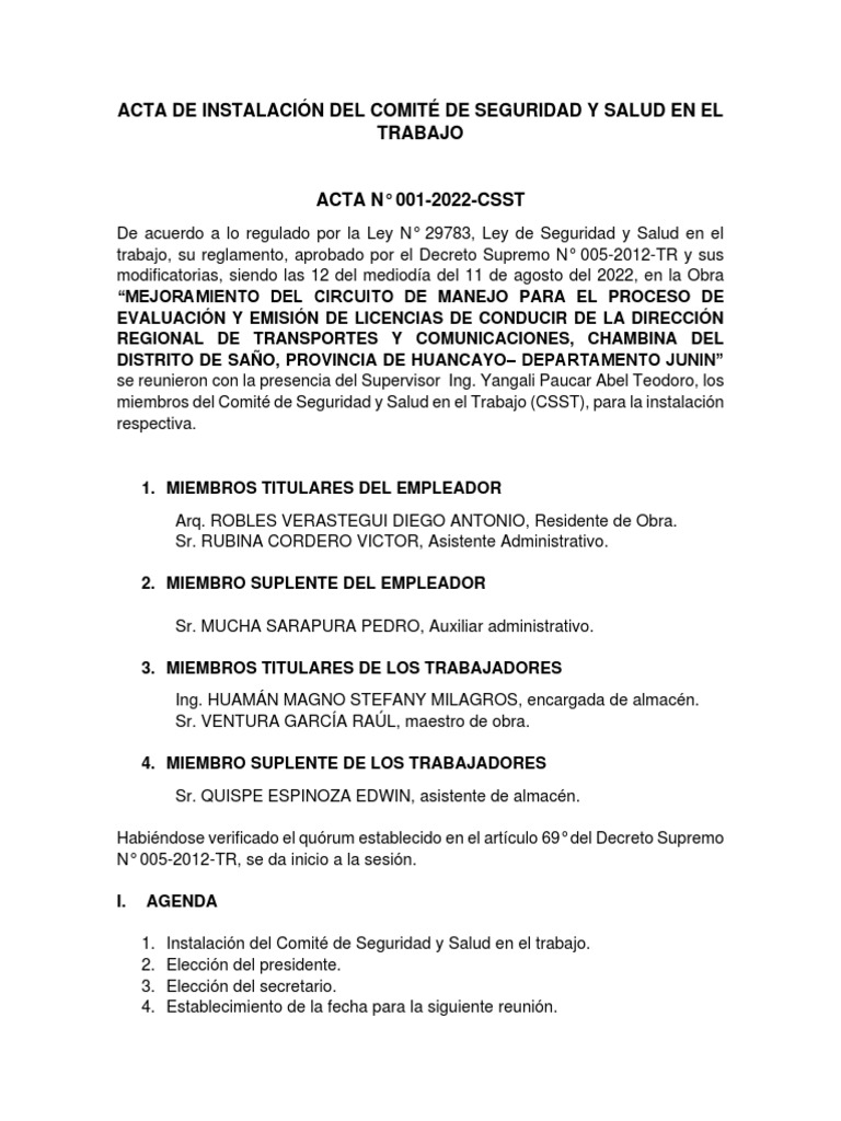 Acta de Instalación Del Comité de Seguridad y Salud en El Trabajo | PDF ...