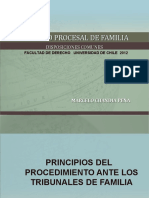 2 DerechoProcesalFamilia DisposicionesComunes