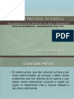 5 DerechoProcesalFamilia ProcedimientosMatrimoniales