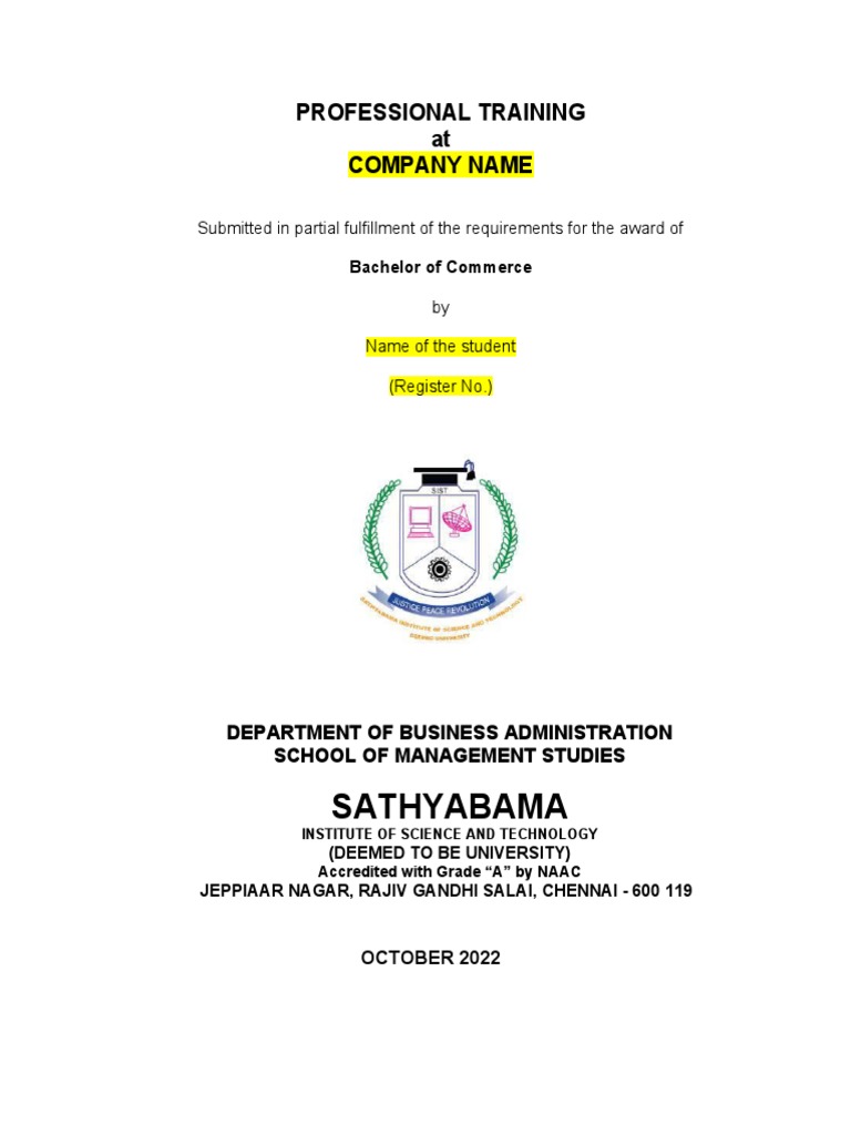 2020-2023-professional-training-report-format-pdf-doctor-of