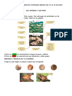 Guia de Trabajo Ciencias Naturales Semana Del 19 Al 22 de Mayo 201