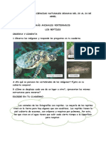 Guia de Trabajo Ciencias Naturales Semana Del 20 Al 24 de Abril