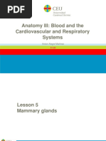 Lesson 05. Mammary Glands