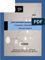Informe Departamental - Flores - 2014