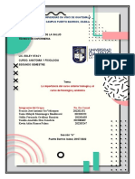 Investigacion Anatamia y Fisiologia