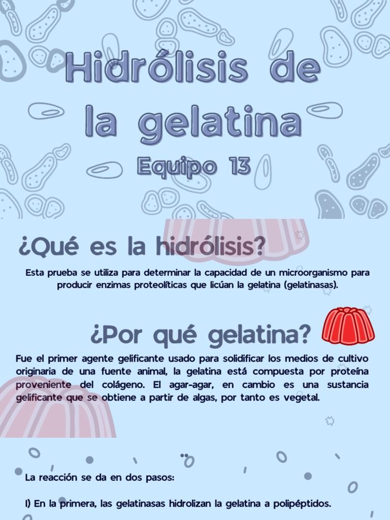 Equipo 13.hidrólisis de La Gelatina PDF