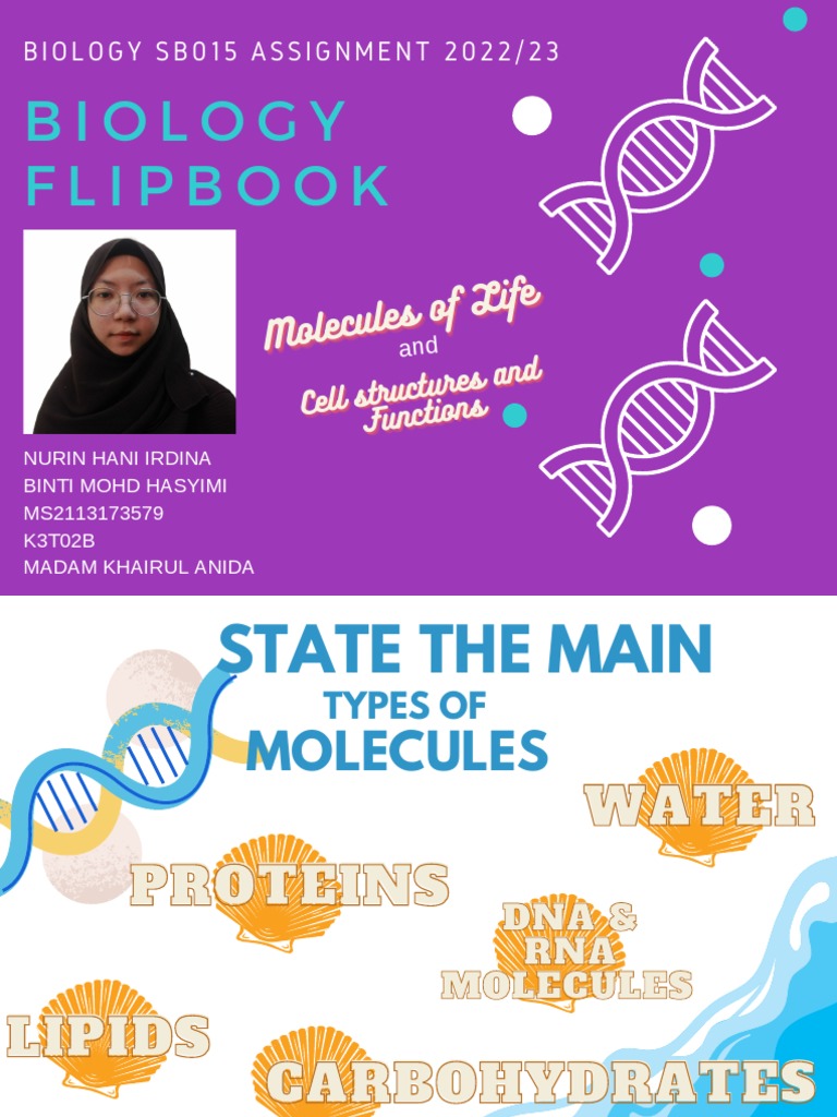 Assignment Biology Flipbook PDF