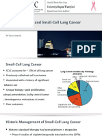 Immunotherapy and Small-Cell Lung Cancer