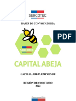 Bases ABEJA EMPRENDE 2022 Coquimbo V°B°