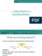 SB10.1p Limiting Factors in Photosynthesis