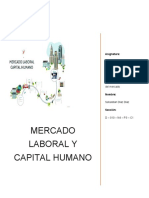 Mercado Laboral y Capital Humano