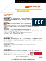 Derbicote Etancheite v5 2020