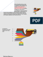 Los Materiales Fotosensibles