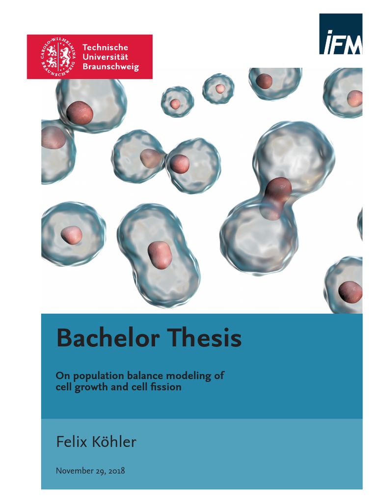 bachelor thesis f