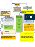 Niff para Pymes Mapa Conceptual