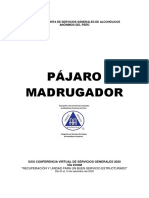 Pajaro Madrugador 2020