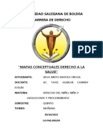 Mapas Conceptuales Derecho A La Salud